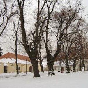 Zimní prohlídka Břevnovského kláštera