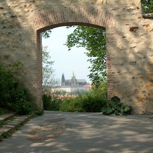 Pohled z Petřína