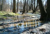 potok Botič