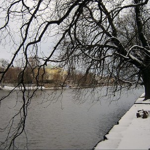 Vltava ze Střeleckého ostrova