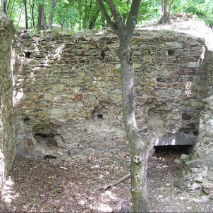 Nový Hrad, zřícenina