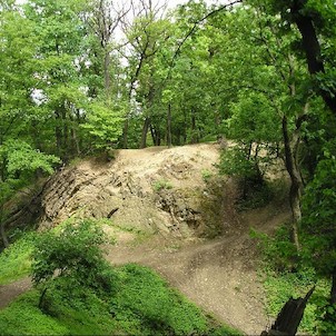 Nový Hrad, zbytky hradního příkopu v místě bývalého dřevěného mostu