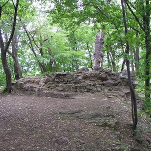 Nový Hrad, zřícenina