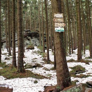 Vysoká - vrchol, rozcestník na Vysoké - vrchol - není z něj rozhled