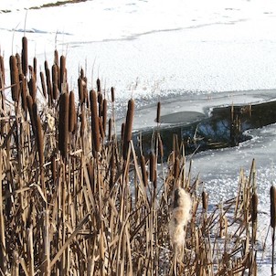 Smal lake at skipiste