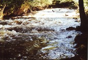 Řeka Dračice