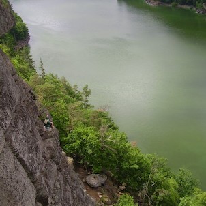 Sinice barví jezero do zelena