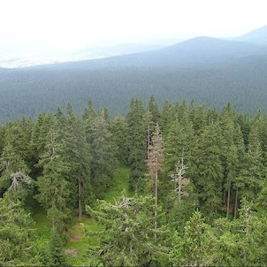 Boubínská rozhledna, Boubínská rozhledna