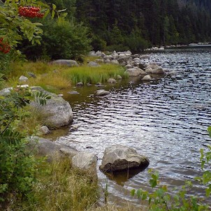 Plešné jezero