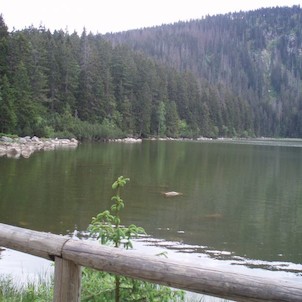 Plešné jezero