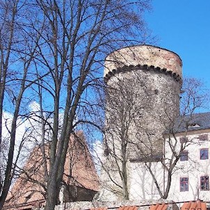 Kotnov, pohled na věž Kotnov z parku pod Kotnovem