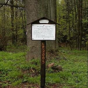 Naučná stezka Járy Cimrmana - cílová plahočina, Pohlaví Járy Cimrmana a původ tohoto názvu.