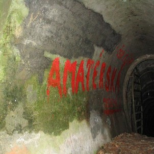 Amatérská jeskyně, Vstup do jeskynního systému z Pustého žlebu. Veřejnosti nepřístupné, dále jsou zamknuté kovové dveře.