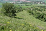 Pouzdřanská step – Kolby