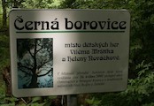 Černá borovice, Místo, kde si v dětství bratři Mrštíkové hrávali.