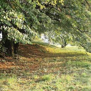 Žerotín cesta