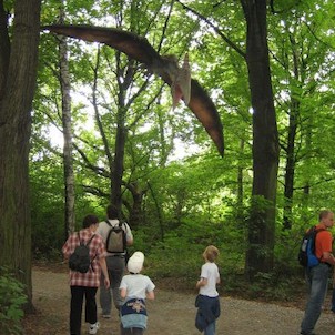 DinoPark, červenec 2006