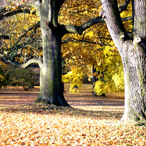 zámecký park