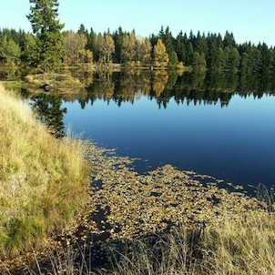 Kladské rašeliny