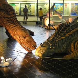 muzeum u přírodní rezervace SOOS