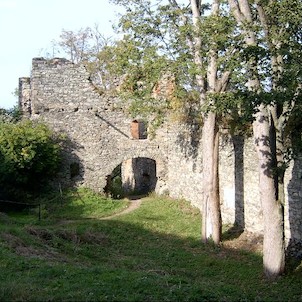 nádvoří, Hrad založili asi páni z Rýzmburka někdy před rokem 1390, z významných držitelů v 15. století jmenujme například císaře Zikmunda, rod Šliků a rod knížat z Plavna, protivníků krále Jiřího z Poděbrad, jehož vojsko v roce 1469 po delším obléhání hra