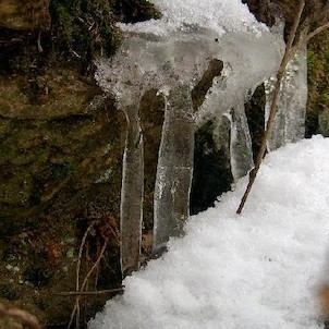 Svatošské skály 14, Národní přírodní památka Jas Svatoš (známá spíše pod názvem Svatošské skály) o rozloze 1,95 ha se nachází v údolí řeky Ohře mezi Karlovými Vary a Loktem. Bizarní skupina skalních věží, sloupů a jehel vytváří pozoruhodné útvary, o jejic