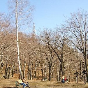 Tři kříže jaro 38, Tři velké dřevěné kříže jsou podobenstvím biblické Golgoty, byly postaveny kolem roku 1640 jako výraz vítězné rekatolizace města a kraje, který byl předchozích 100 let oddán víře luteránské. U Tří křížů stávala restaurace a zvláštní alt