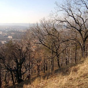 Tři kříže jaro 45, Tři velké dřevěné kříže jsou podobenstvím biblické Golgoty, byly postaveny kolem roku 1640 jako výraz vítězné rekatolizace města a kraje, který byl předchozích 100 let oddán víře luteránské. U Tří křížů stávala restaurace a zvláštní alt