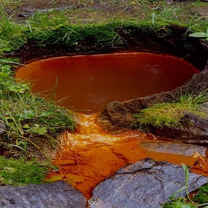 Studánka