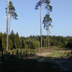 Hradecké lesy