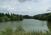 Jinolický rybník