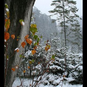 Adršpašsko - Teplické skály