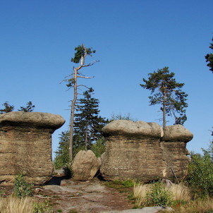 Kamenný hřiby, Slavný