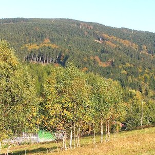 Pohled na obec Deštné v O.h. ze sjazdovky MARTA I.