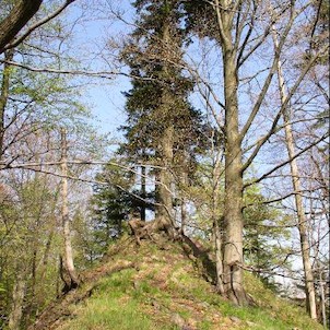 zde stával gotický hrad