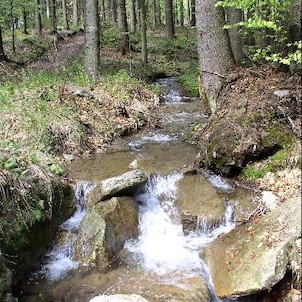 Kněžná po 1 km od pramene