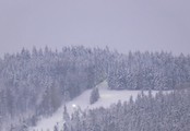 ski areal zvičina