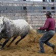 Ranč 7M - Natural Horsemanship