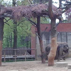 pavilon slonů