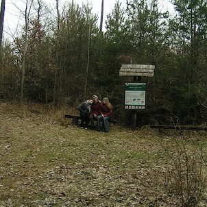 Zastavení NS - zvěř