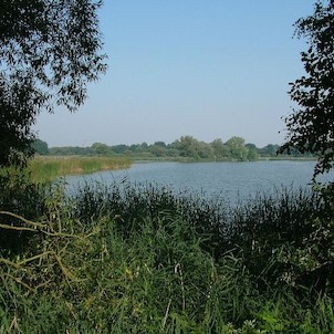 Velký Pavlovický rybník