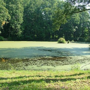 Slezské Rudoltice