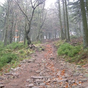 Velký Polom, cesta na vrchol - od Malého Polomu