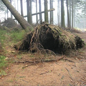 Velký Polom, cestou přes velký polom