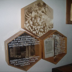  v expozici muzea včelařství
