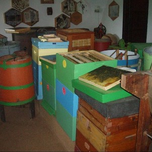 v expozici muzea včelařství