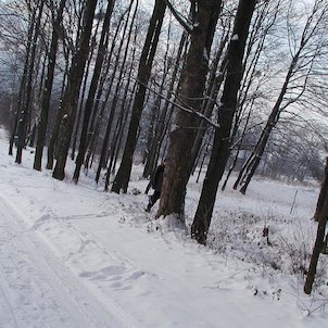 na cestě na Ondřejník