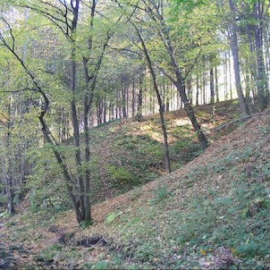 na levém břehu Ondřejnice