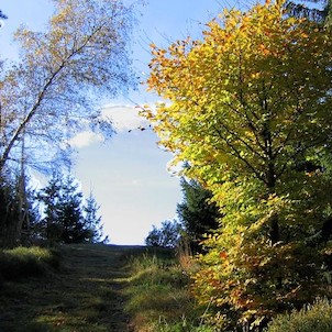 Přírodní rezervace Skalka - Ondřejník