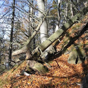 Přírodní rezervace Skalka - Ondřejník